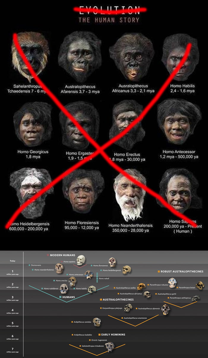 The Human evolution - Corrected - 9GAG