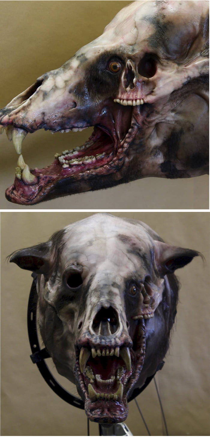 The design of the bear from Annihilation look terrifying - 9GAG