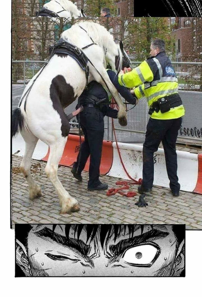 Berserk horse 9GAG