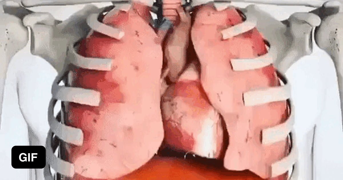 Visualization of how we breathe 9GAG