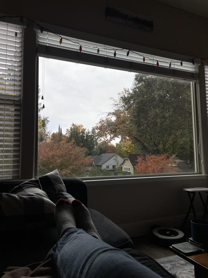 Cozy Living Room Window Gag