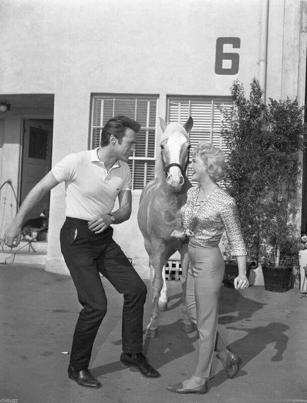 Mr Ed watches Clint Eastwood & Connie Hines dance the “Twist”, 1962 - 9GAG