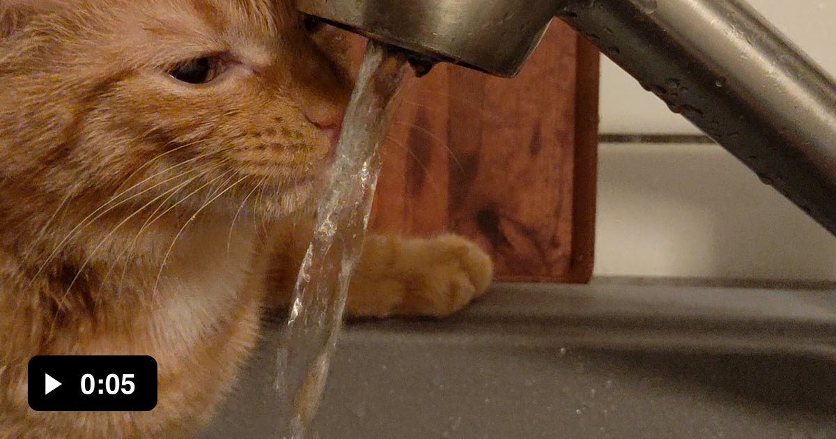 Yes, you can safely drink tap water in Germany! The quality of German tap water is strictly