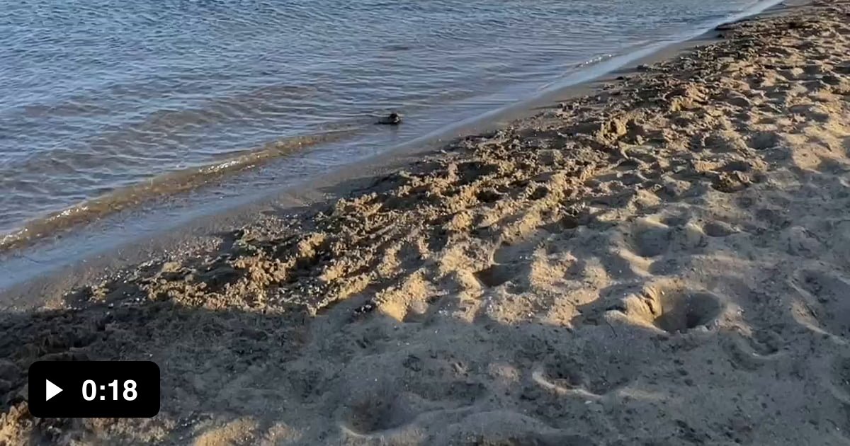 Air Space Regulations