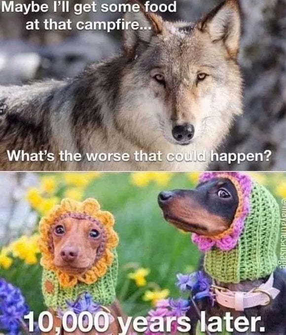 Reverse evolution - 9GAG