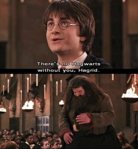 RIP Hagrid - 9GAG