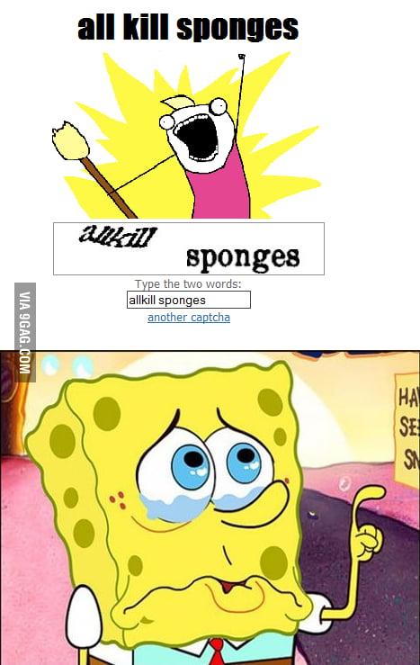 Allkill sponges - 9GAG