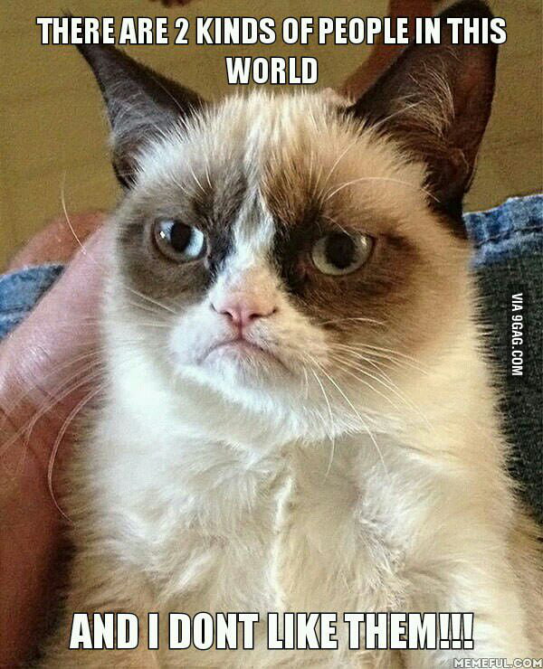 Grumpy Cat Gag