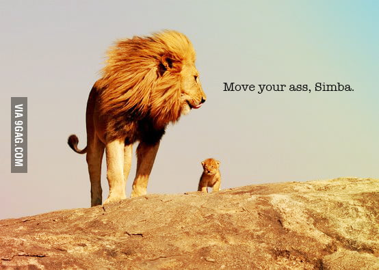 Move it, lard ass. - 9GAG