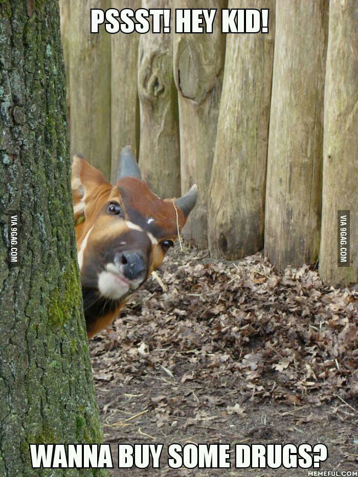 Psst Hey Kids 9gag