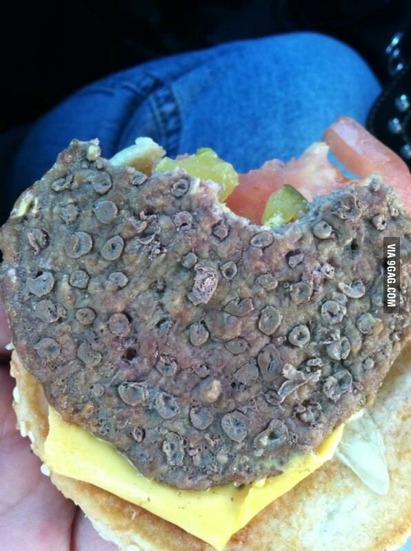 Burger King Patty 9GAG Burger King Patty 9GAG