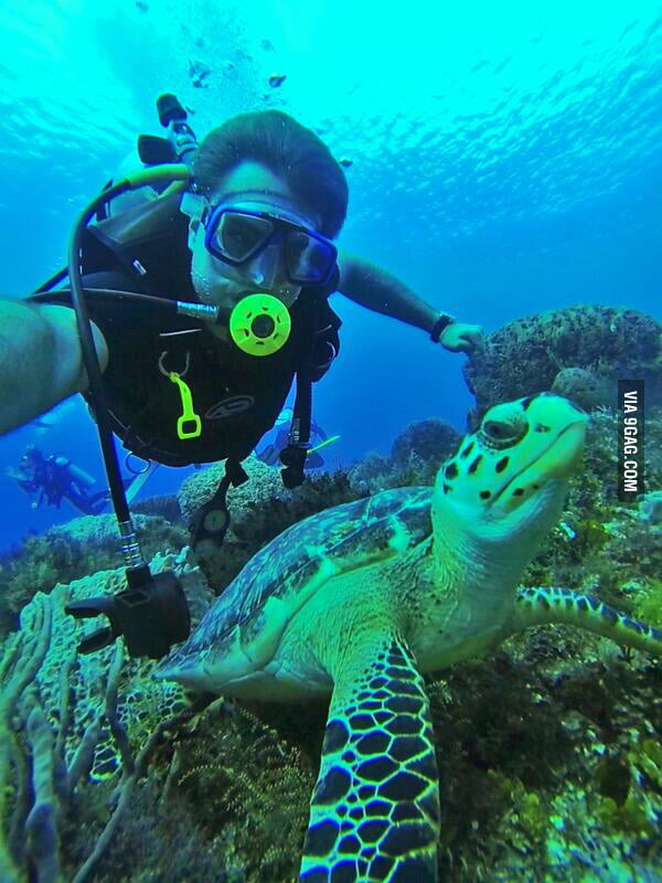 my-job-as-a-marine-biologist-in-australia-sorry-for-the-lateness-9gag