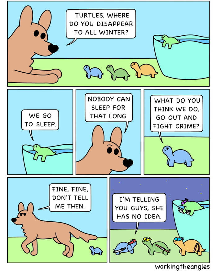 Teenage Regular Untrained Turtles - 9GAG
