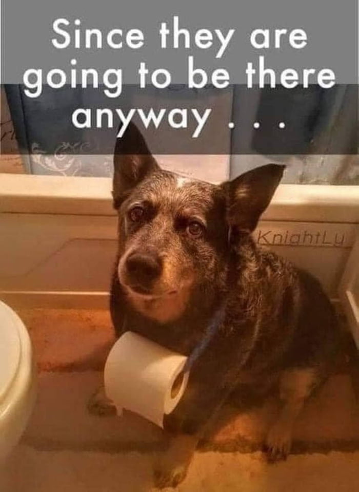 At least make yourself useful 9gag
