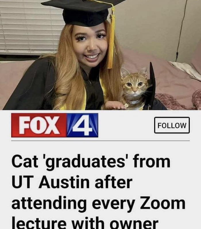 Cat did better than me - 9GAG