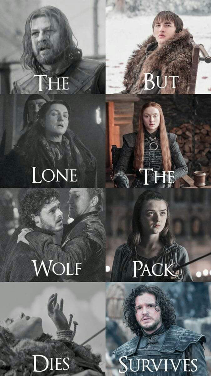 The but lone the wolf pack dies survives - 9GAG