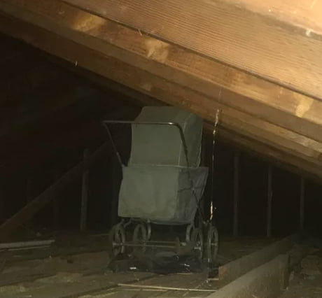 Rent A Cabin In The Woods They Said It Will Be Fun They Said 9gag
