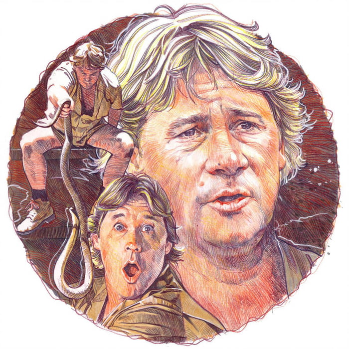 Missing you on your Birthday Steve Irwin Art by MarkRaats - 9GAG