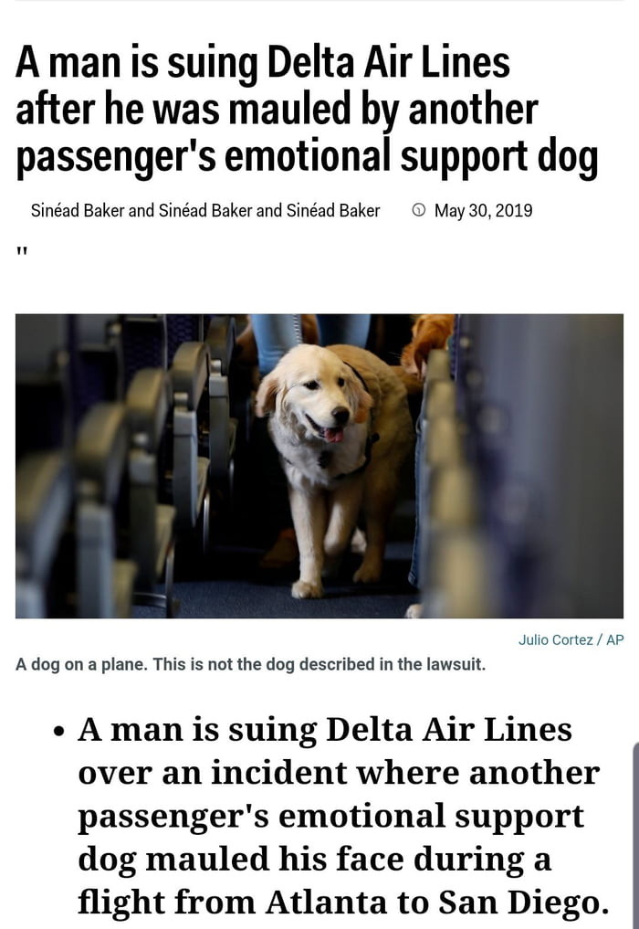 Falsely Claiming Your Dog Is A Service Dog And It Not Actually Being 