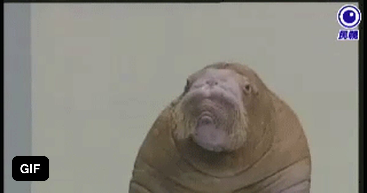 When half my poop floats and half sinks 9GAG