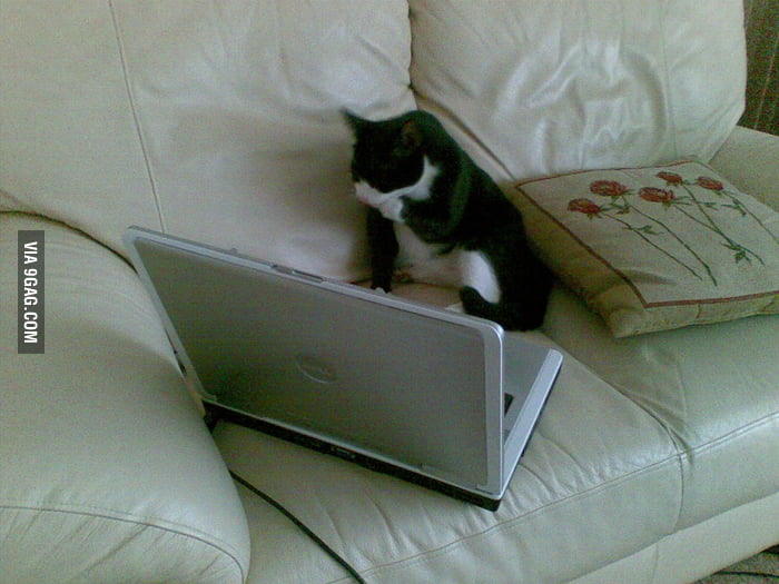 maybe i should buy a boat