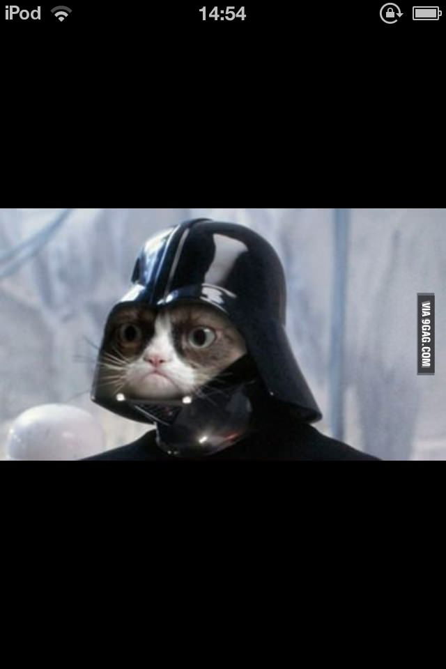 Grumpy cat joins the darkside - 9GAG