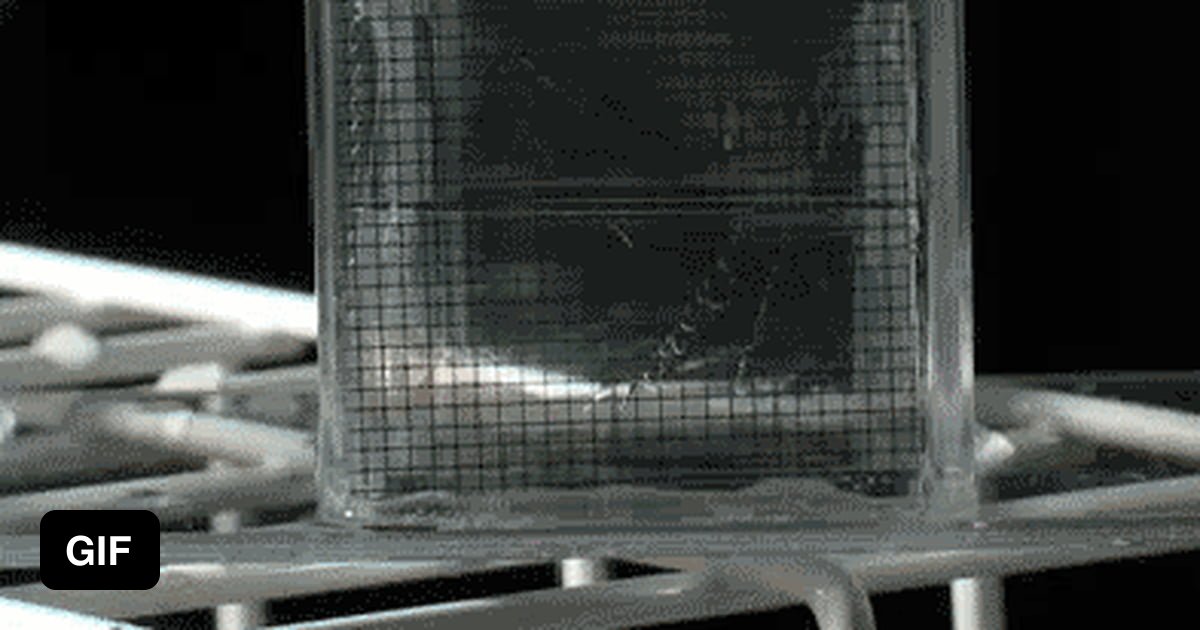 Ice Spike Formation 9GAG