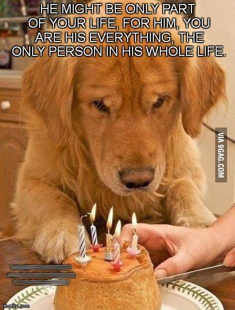 roll-over-try-not-to-cry-cry-a-lot-9gag