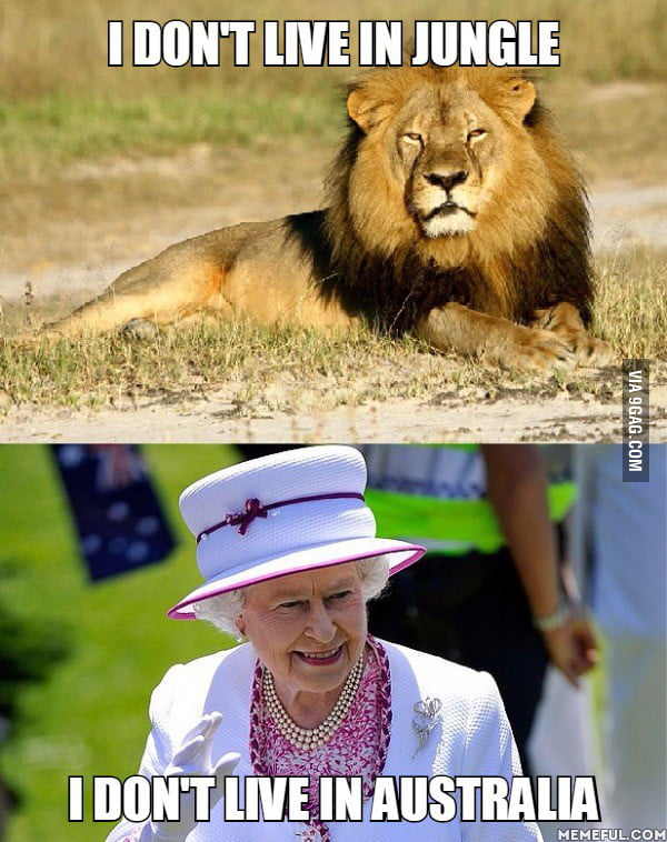 Just A Reminder For All That Complain About Lion The King Of The Jungle 9gag