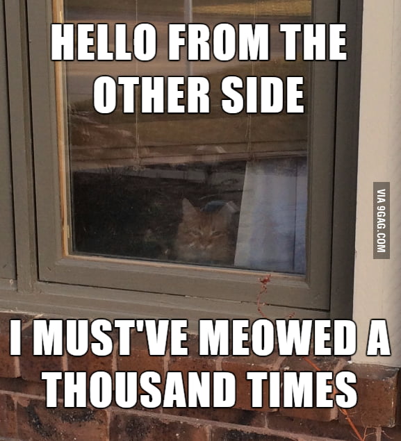 hello-can-you-hear-me-9gag