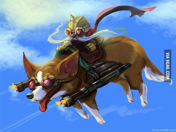 Corgi Rider Corki riding a corgi :) - 9GAG