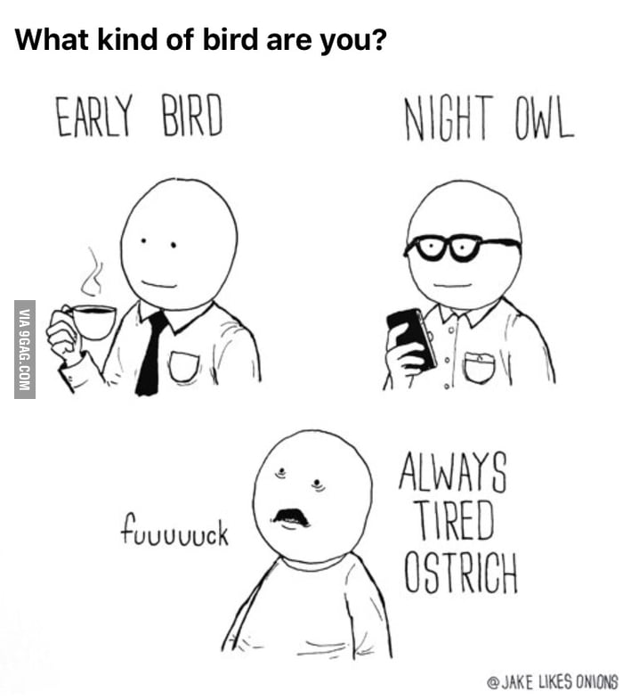 Definitely the Always Tired Ostrich - 9GAG