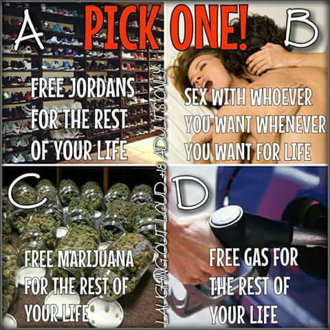 Pick one and why