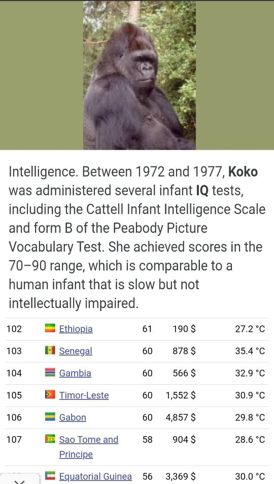 A Monkey Have A Higher Iq Than A N Gag