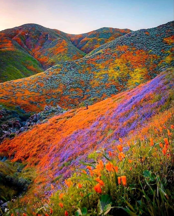 Valley of Flowers National Park, recognized in 2002 as a UNESCO World