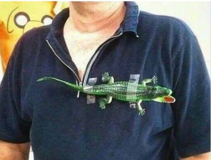 Lacoste 2039 9GAG   A7MYA2z 700b 