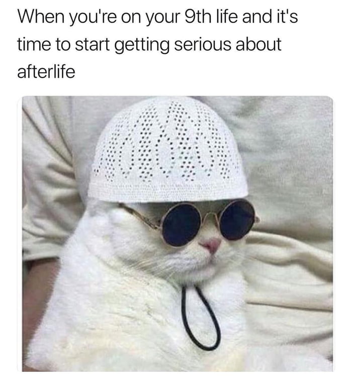 Peace. We need Peace 9GAG