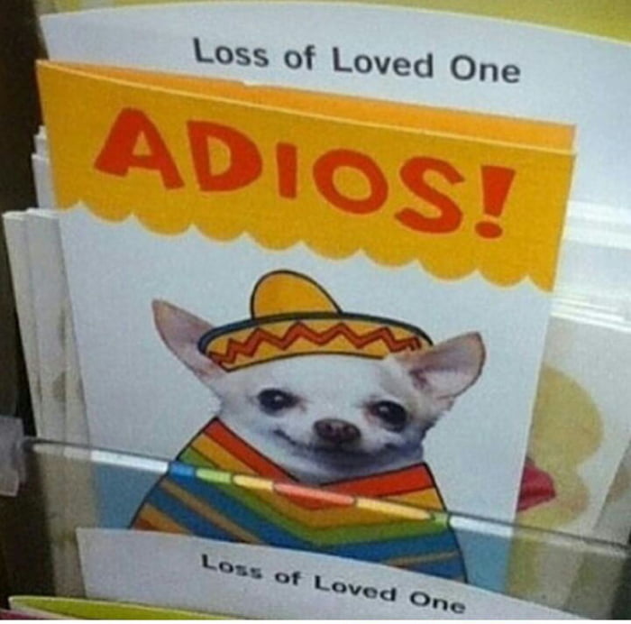 Adios amigo!! - 9GAG