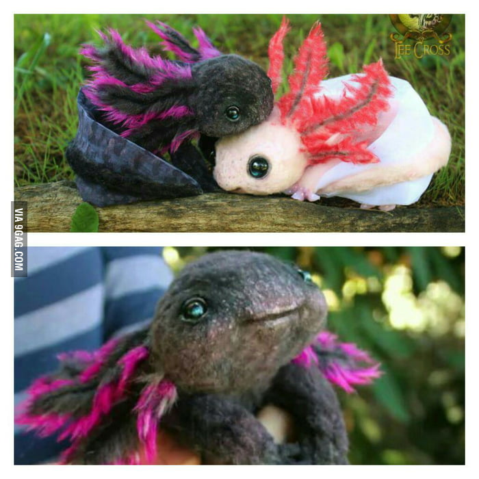 axolotls toy