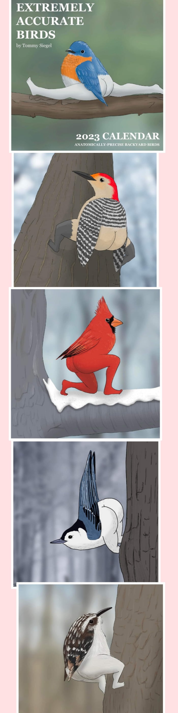 Birby got back - 9GAG