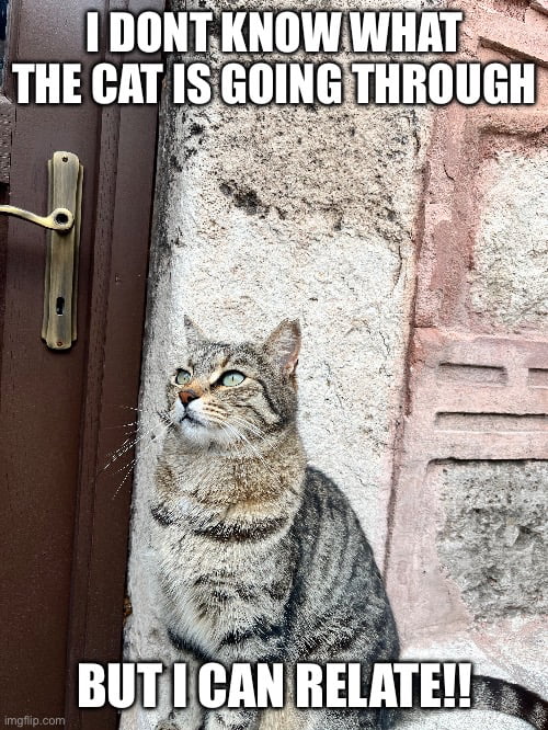 Catpost - 9GAG