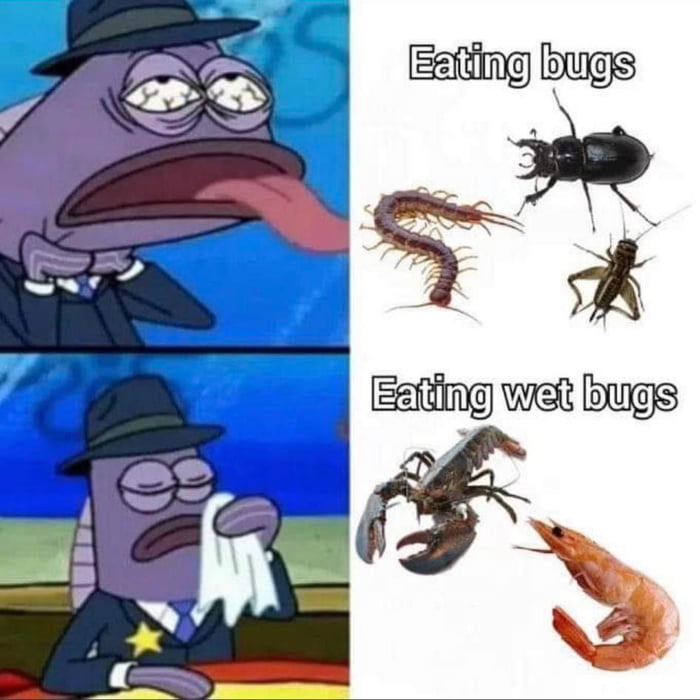 Do vegans eat bugs? 9GAG