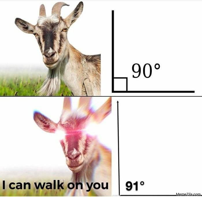 Horny Goats In Your Local Area 9gag