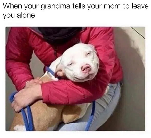 My mom's also a grandma, but not mine - 9GAG