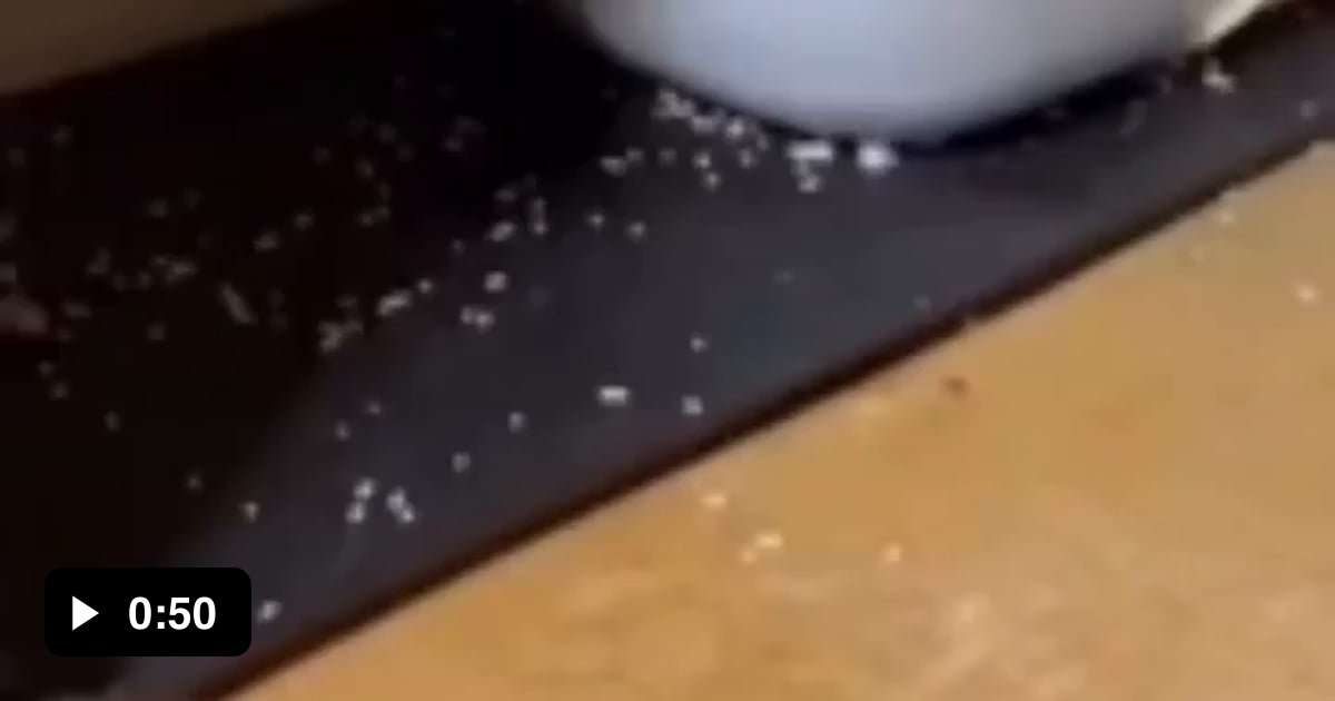 Cat pees standing up on 2 hind legs, paw against the wall…as is