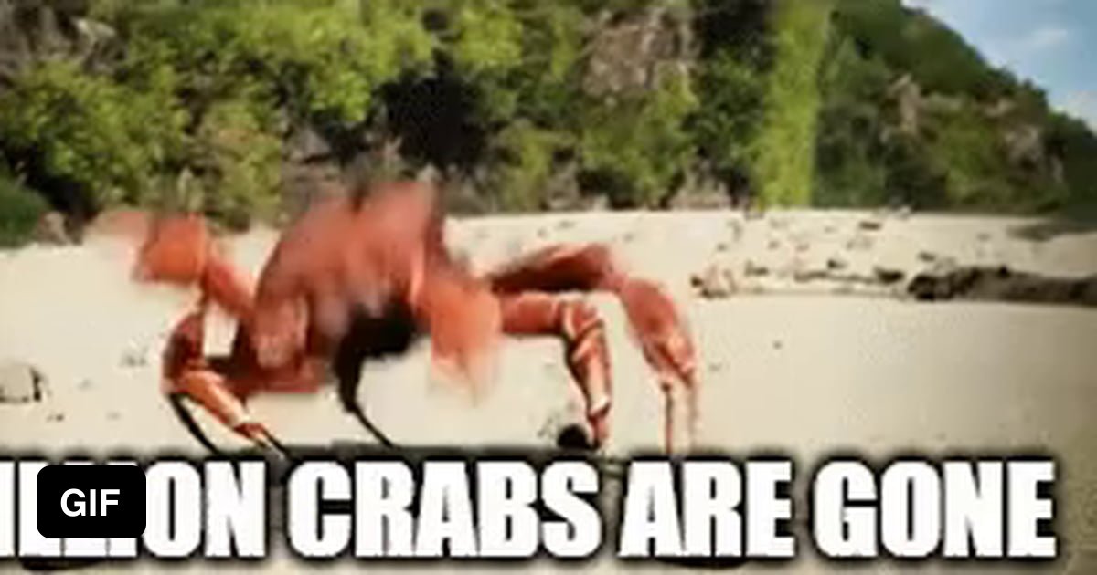 11 Billion Crabs Went Missing In Alaska 9GAG   A7qnRAm Ogimage 