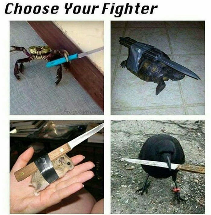 I choose you turtleknife - 9GAG