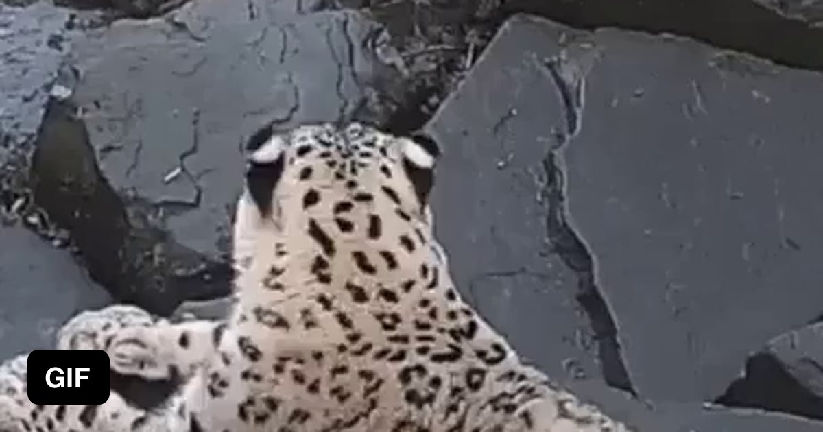 When you're slacking off at work, but you notice a CCTV camera. - 9GAG