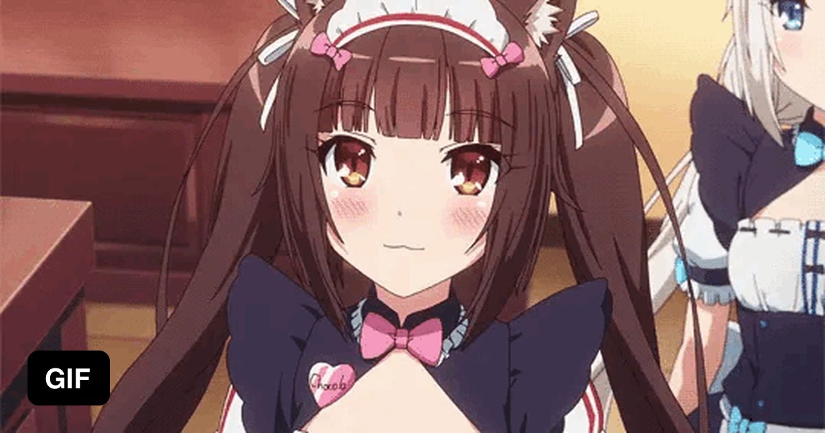 Nekopara: Chocola Blushing - 9GAG