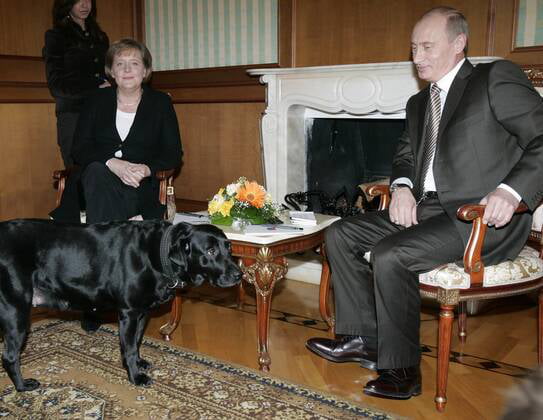 Throwback To When Putin Brought His Dog To A Meeting With Merkel ...